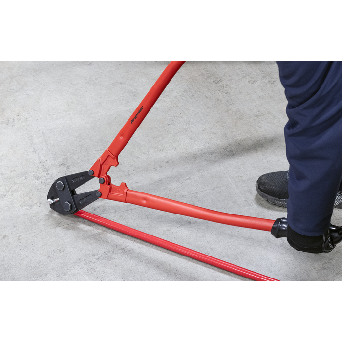 Premier Bolt Cutters 750mm 13mm Capacity | AK510