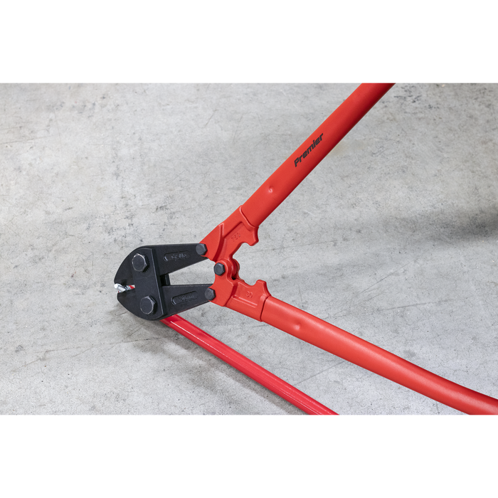 Premier Bolt Cutters 750mm 13mm Capacity | AK510