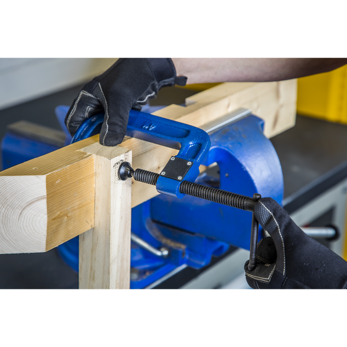 Quick Release G-Clamp 100mm | AK6004Q
