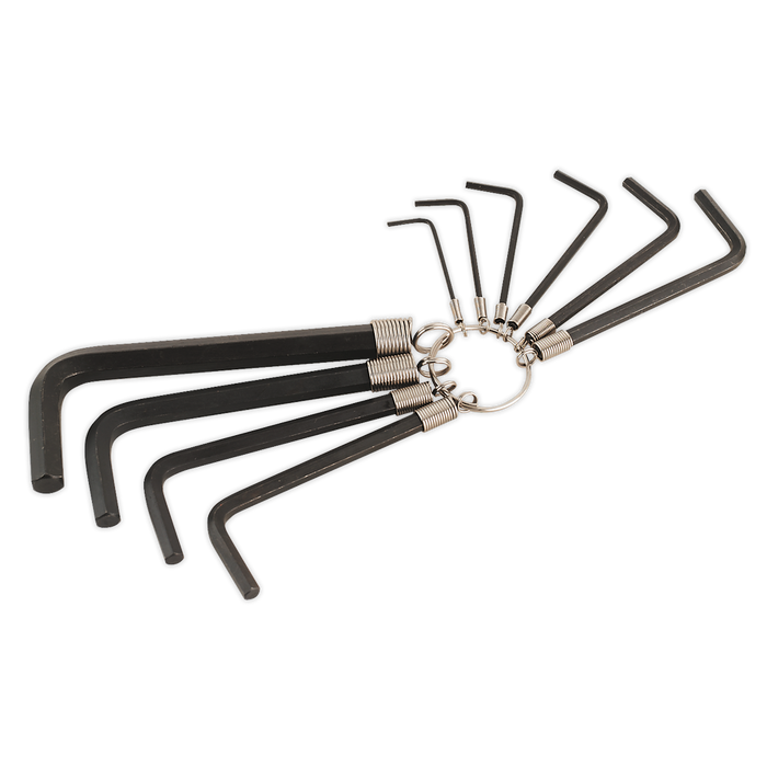 Premier Hex Key Set on Ring 10pc | AK6148