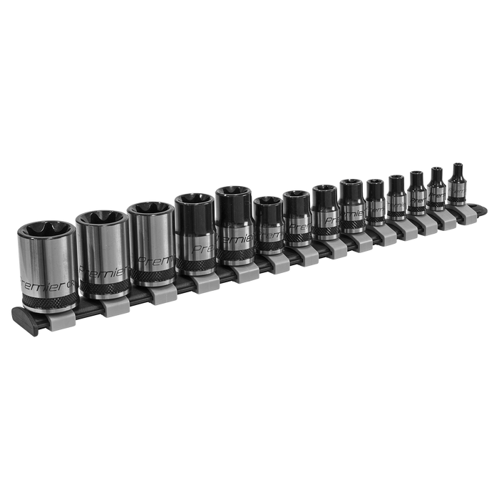 Premier Black TRX-Star* Socket Set 1/4", 3/8" & 1/2"Sq Drive E4-E24 14pc | AK618B