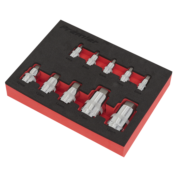 Premier Stubby Hex Socket Bit Set 1/4", 3/8" & 1/2"Sq Drive 10pc | AK6244
