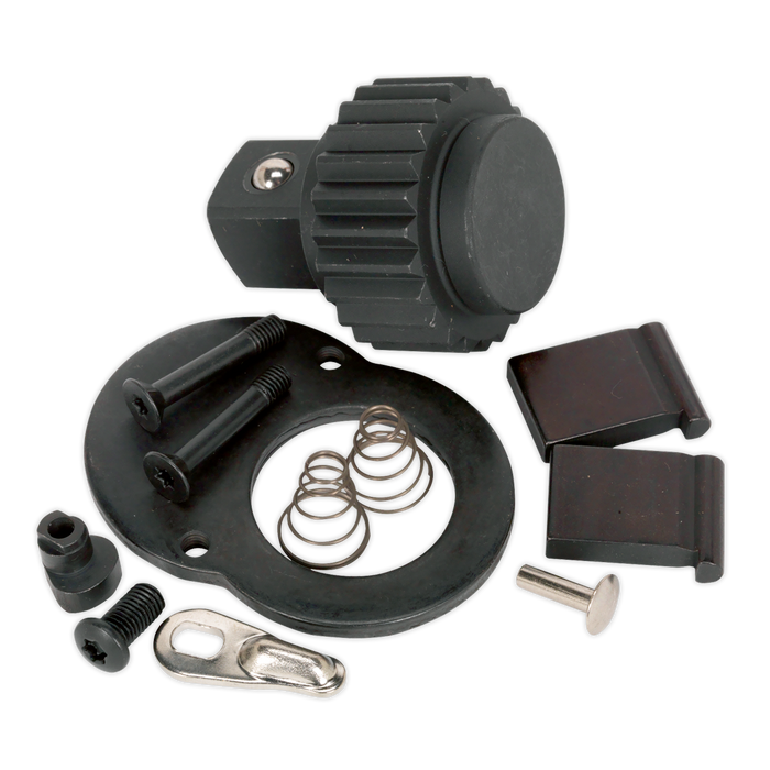 Premier Repair Kit for AK669 3/4"Sq Drive | AK669.RK