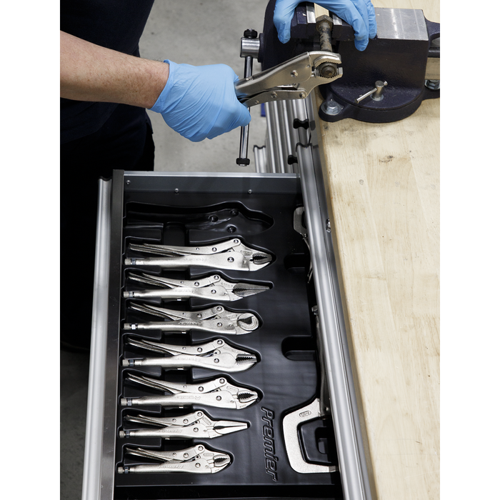 Premier Locking Pliers Set 10pc | AK6800
