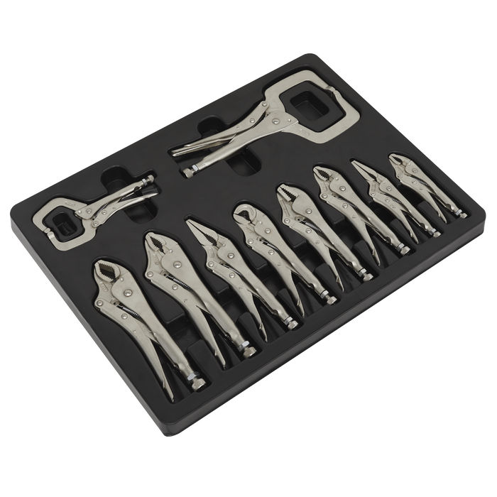 Premier Locking Pliers Set 10pc | AK6800