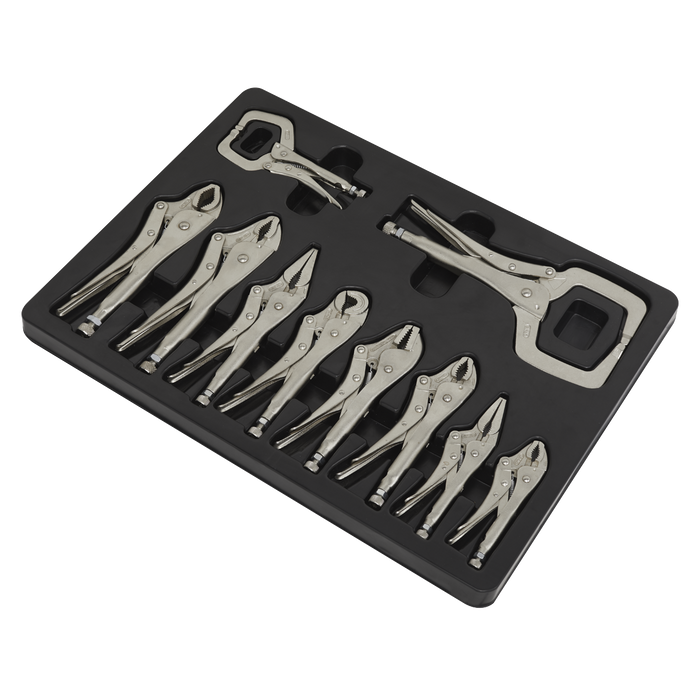 Premier Locking Pliers Set 10pc | AK6800
