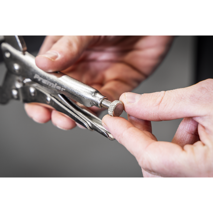 Premier Locking Pliers Set with Foam Tray 10pc | AK6802