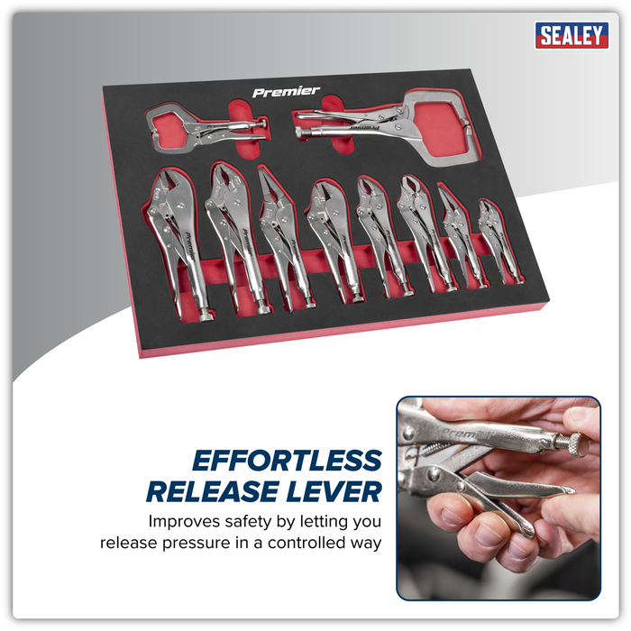 Premier Locking Pliers Set with Foam Tray 10pc | AK6802