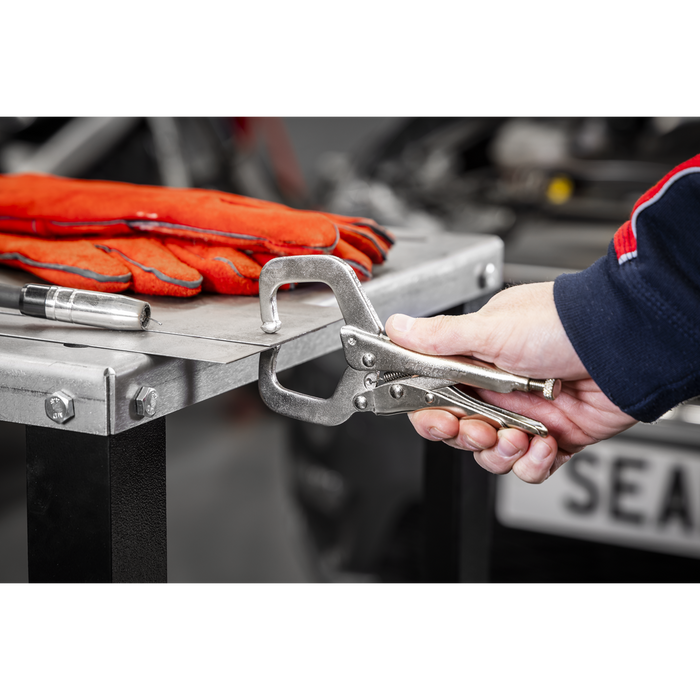 Premier Locking Pliers Set with Foam Tray 10pc | AK6802