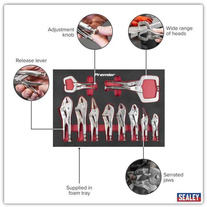 Premier Locking Pliers Set with Foam Tray 10pc | AK6802