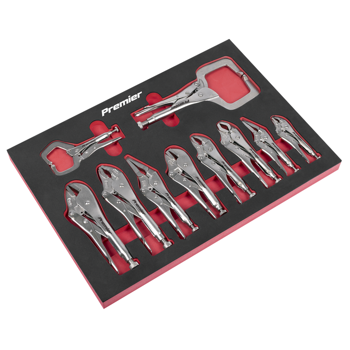Premier Locking Pliers Set with Foam Tray 10pc | AK6802