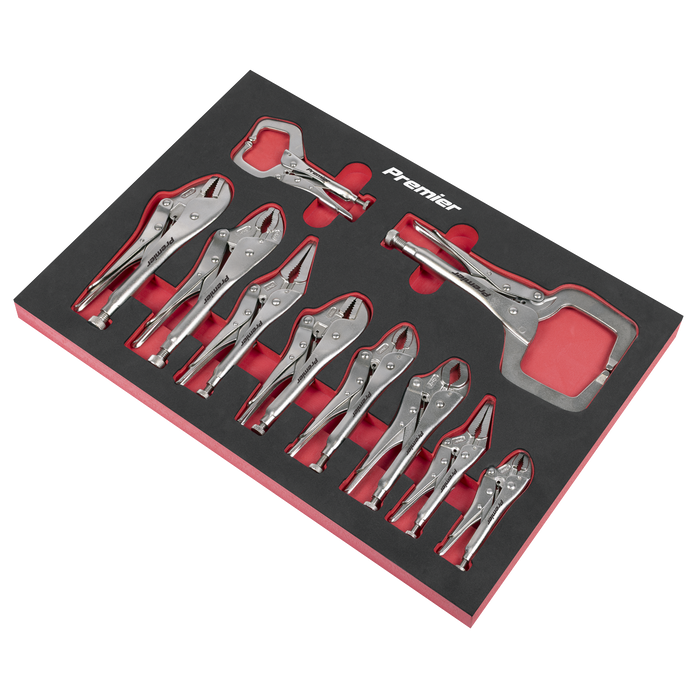 Premier Locking Pliers Set with Foam Tray 10pc | AK6802