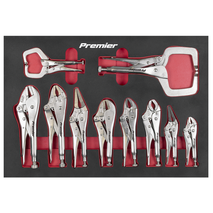 Premier Locking Pliers Set with Foam Tray 10pc | AK6802