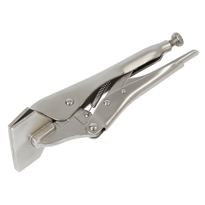 Premier Sheet Metal Clamp 200mm | AK6829