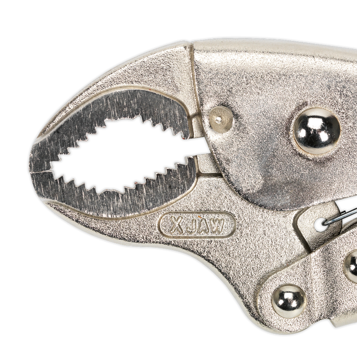 Premier Xtreme Grip Quick Release Locking Pliers 220mm | AK6869