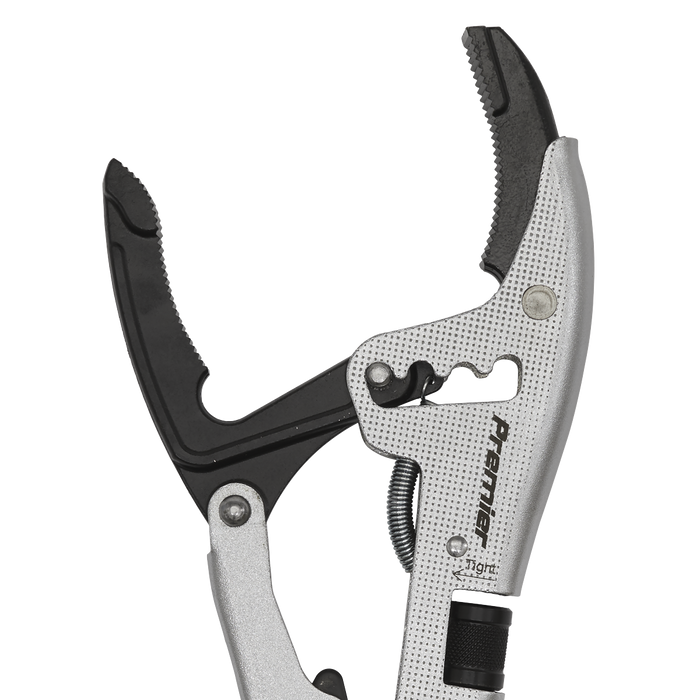 Premier Extra-Wide Opening Locking Pliers 250mm | AK6870