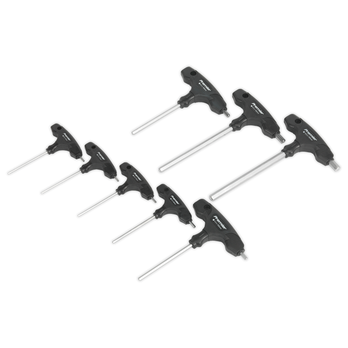 Premier T-Handle Hex Key Set 8pc | AK7143