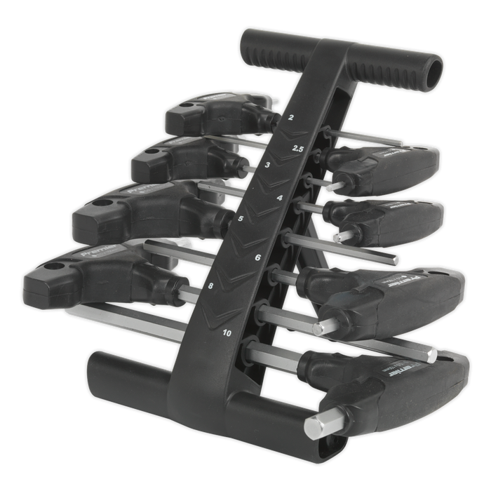 Premier T-Handle Hex Key Set 8pc | AK7143
