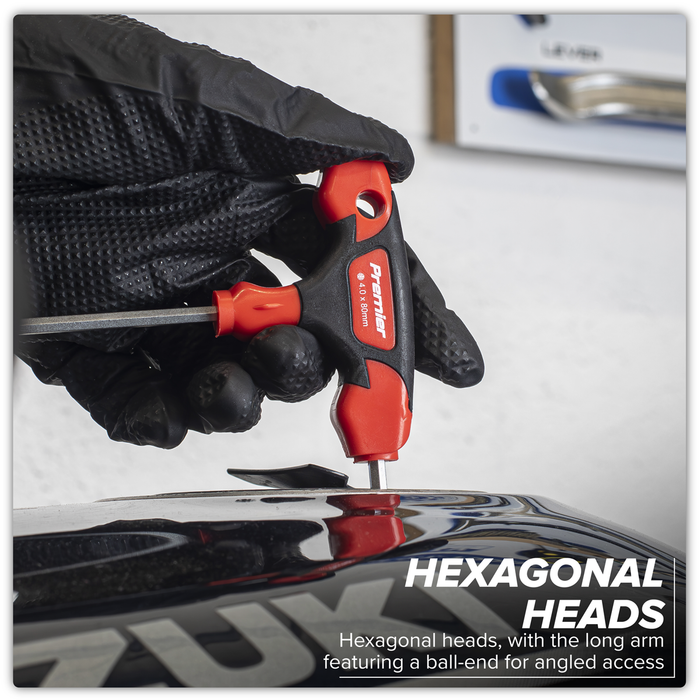 Premier T-Handle Ball-End Hex Key Set 8pc | AK7144