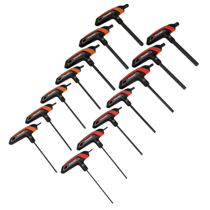 Premier Metric/Imperial T-Handle Hex Key Set 14pc | AK7149