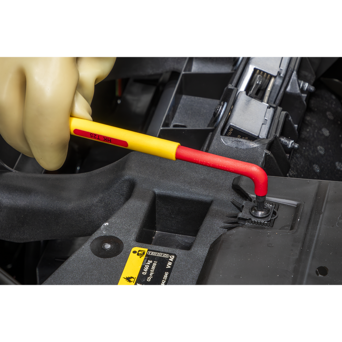 Premier Extra-Long TRX-Star* Key Set 9pc - VDE Approved | AK7178