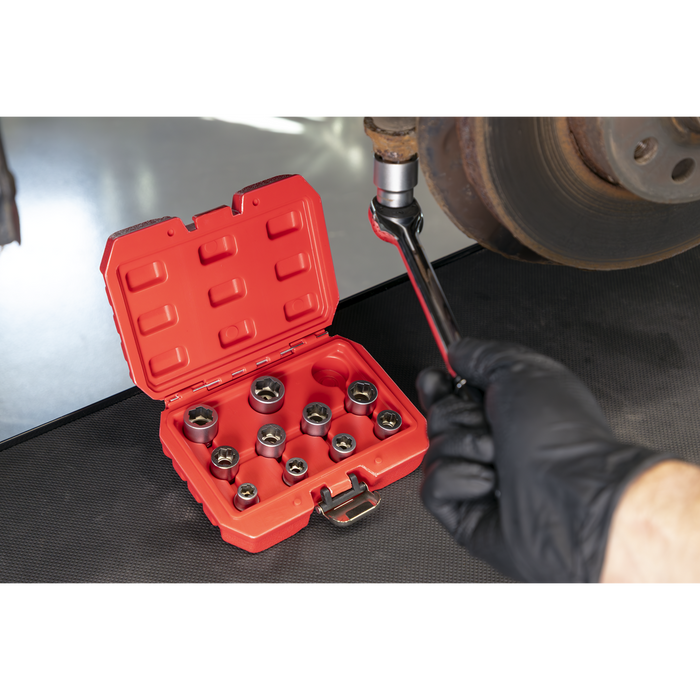 Premier Bolt Extractor Socket Set 3/8"Sq Drive 11pc | AK7281