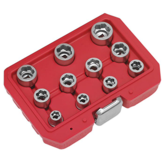 Premier Bolt Extractor Socket Set 3/8"Sq Drive 11pc | AK7281