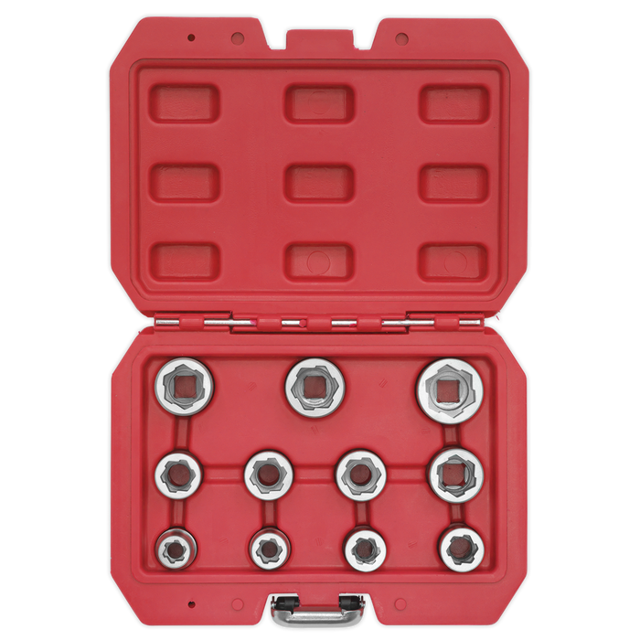 Premier Bolt Extractor Socket Set 3/8"Sq Drive 11pc | AK7281