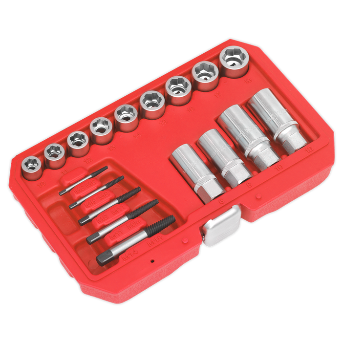 Premier Bolt, Stud & Screw Extractor Set 18pc | AK751