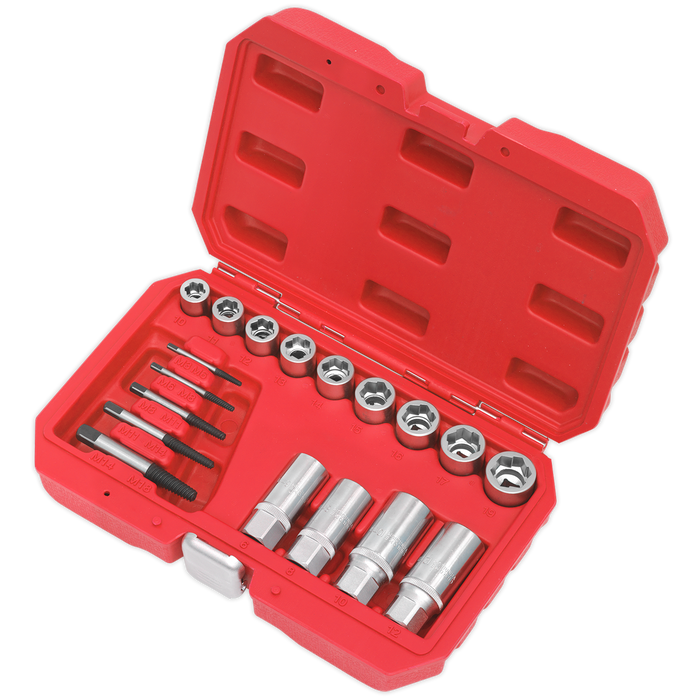 Premier Bolt, Stud & Screw Extractor Set 18pc | AK751