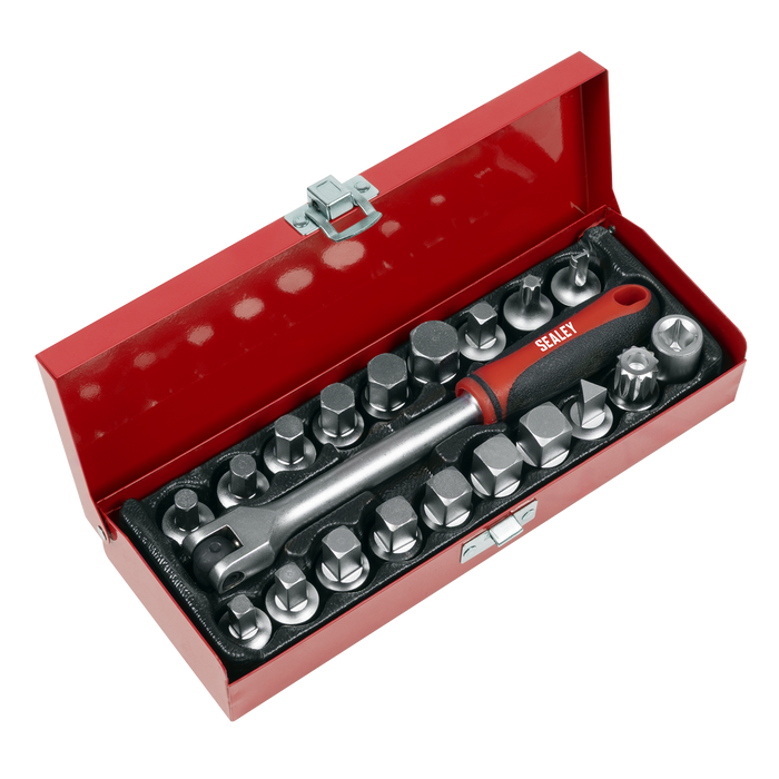 Oil Drain Plug Key Set 3/8"Sq Drive 20pc | AK759