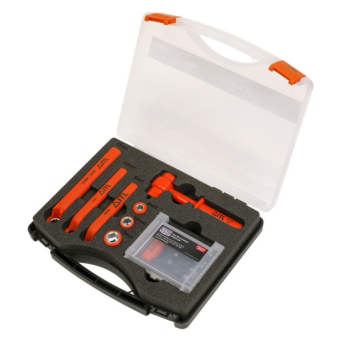 Premier Hybrid & Electric Vehicle Battery Tool Kit 19pc | AK7911