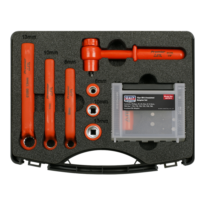 Premier Hybrid & Electric Vehicle Battery Tool Kit 19pc | AK7911