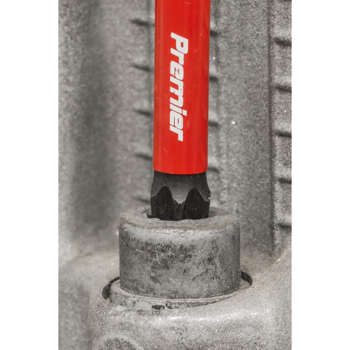 Premier TRX-Star* Impact Power Tool Bits T40 x 50mm 3pc | AK8246