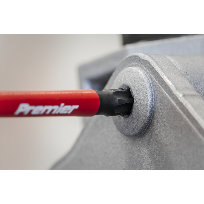 Premier TRX-Star* Impact Power Tool Bits T20 x 75mm 3pc | AK8267