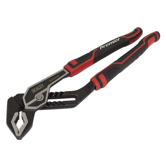 Premier Water Pump Pliers 300mm | AK83793