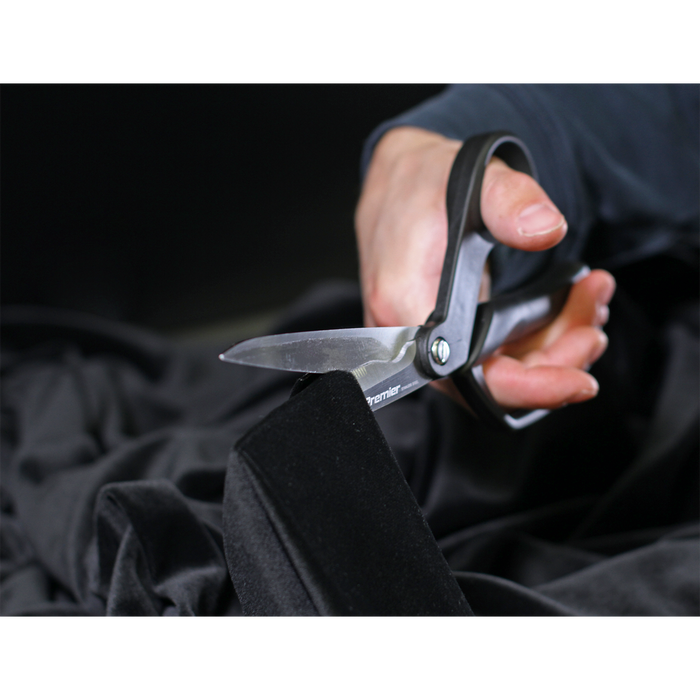 Premier Heavy-Duty Shears/Scissors 250mm | AK8524