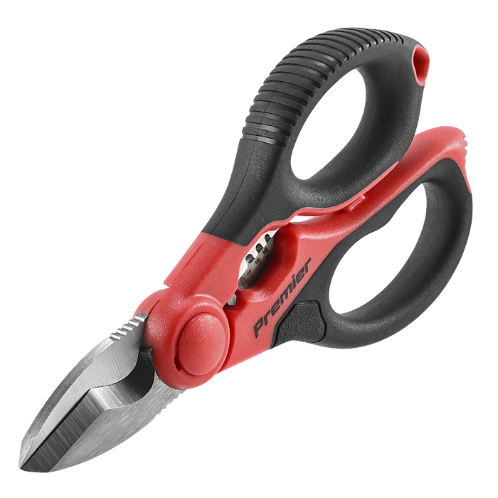Premier Heavy-Duty Electrician's Shears 160mm | AK8528