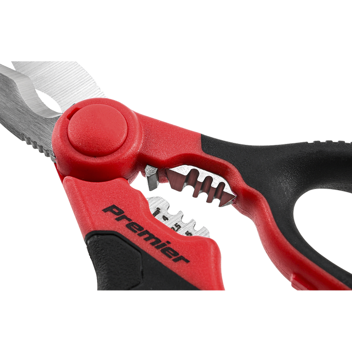 Premier Heavy-Duty Electrician's Shears 160mm | AK8528