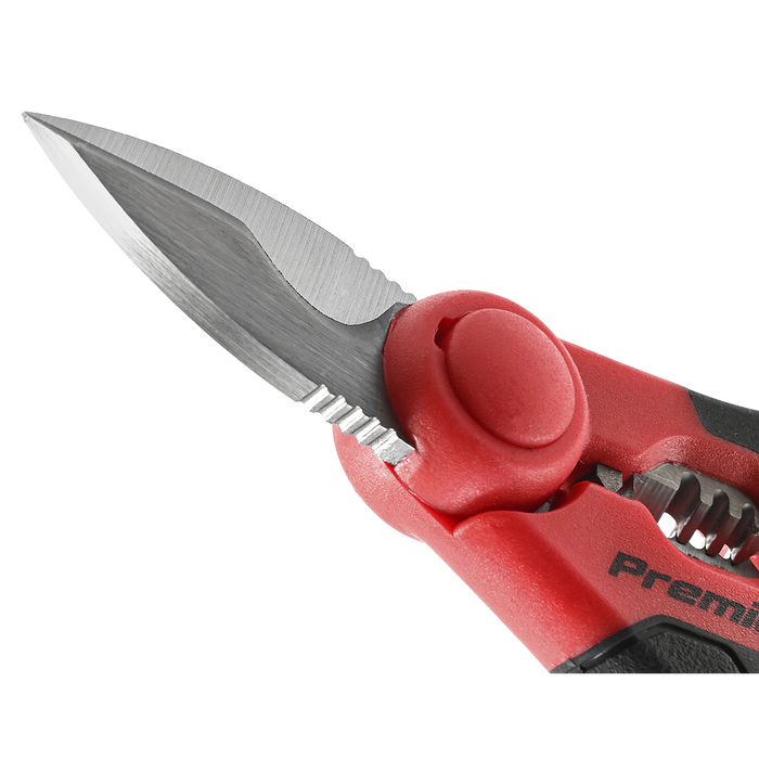 Premier Heavy-Duty Electrician's Shears 160mm | AK8528