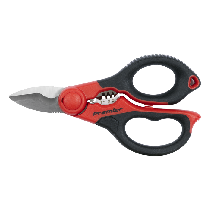 Premier Heavy-Duty Electrician's Shears 160mm | AK8528