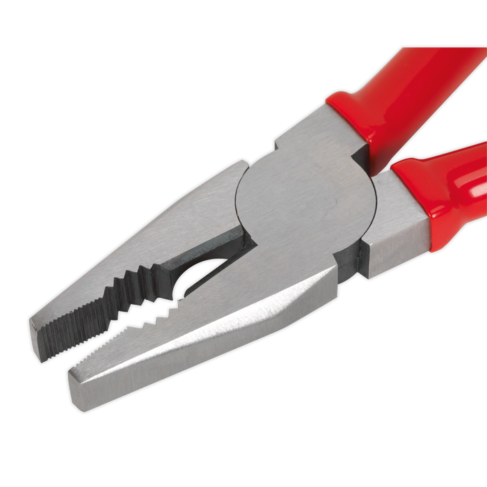 Premier Combination Pliers 200mm | AK8561