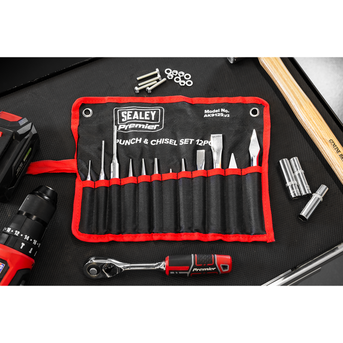 Premier Punch & Chisel Set 12pc | AK9129