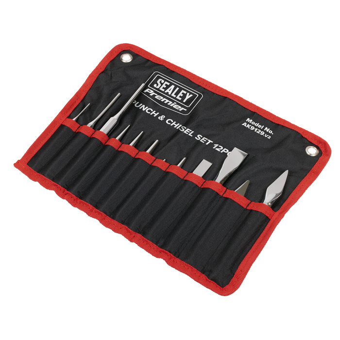 Premier Punch & Chisel Set 12pc | AK9129