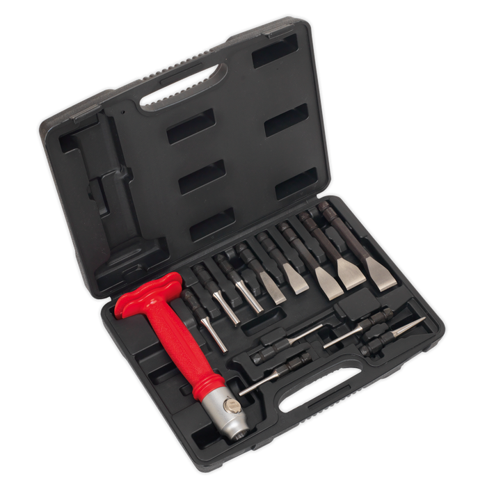 Premier Interchangeable Punch & Chisel Set 13pc | AK9215