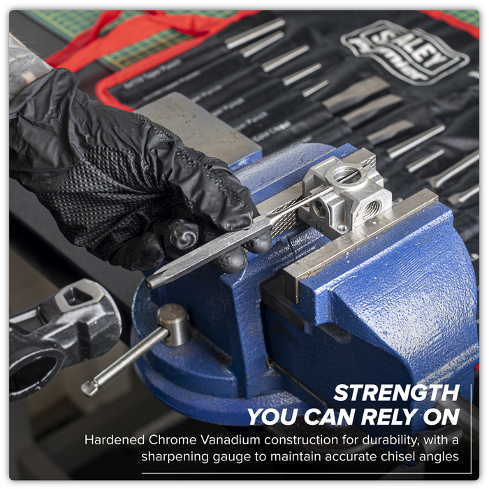 Premier Punch & Chisel Set 16pc | AK9216