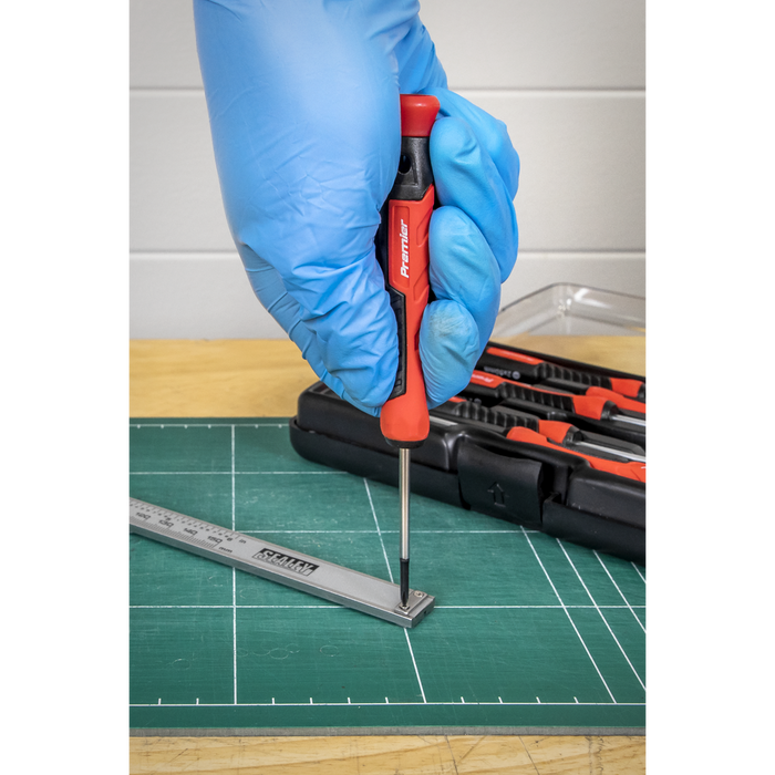 Premier Precision Screwdriver Set 6pc | AK97324