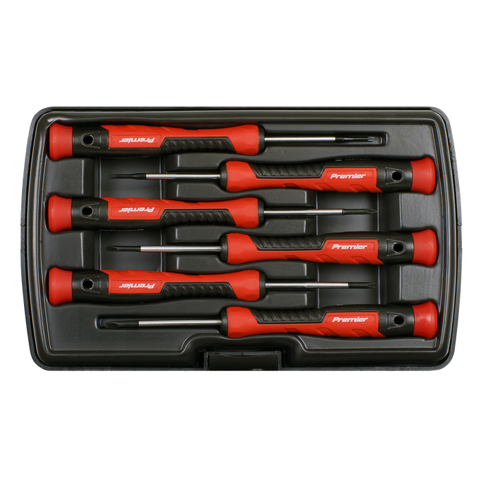 Premier Precision Screwdriver Set 6pc | AK97324