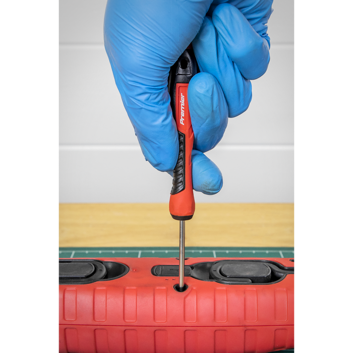 Premier Precision Screwdriver Set 25pc | AK97327