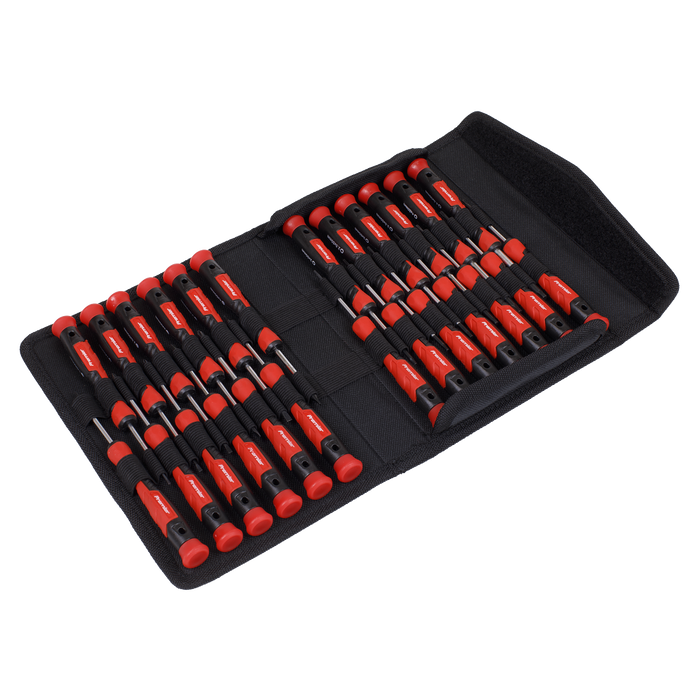 Premier Precision Screwdriver Set 25pc | AK97327